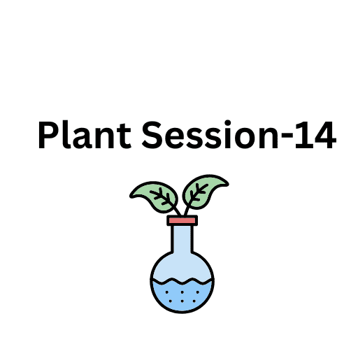 Plant Session-14